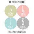 thumbnail image 2 of Baby Monthly Stickers | Baby Milestone Stickers | Newborn Stickers | Month Stickers for Baby Girl | Baby Girl Stickers | Newborn Monthly Milestone Stickers (Set of 24), 2 of 6