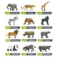 thumbnail image 3 of Mini figuras de animales del bosque de juguete, 12 piezas, mini animales del bosque, simulación de animales del bosque, juego de figuras de PVC, juguetes cog, 3 of 7