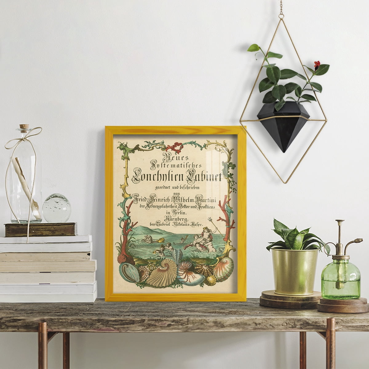 Cabinet of Conchology -Framed Print w/glass-Sunflower Yellow