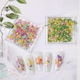 thumbnail image 6 of 3D Dried Flowers for Nails, Spring Flower Nail Art Stickers 1Box Dried Flowers for Resin Crafts Colorful Small Natural Floral Dried Flower Decals for Summer Acrylic Nails Design Manicure Accessories, 6 of 10