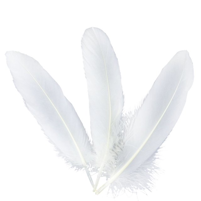 sweethay Paquete de 50 plumas de ganso, bricolaje, pluma blanca portátil, decoración de boda, tela, pendientes para el pelo, cinta artesanal, vestido Kits de decoración para fiestas sweethay JJ9799-00