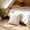 #100White, variant on Aff*ordable！Vintage Bohemian Cotton Pillow Cover with Breathable Soft Fabric and Hidden Zipper Closure, Decorative Cushion Case for Sofa, Bed, and Living Room.