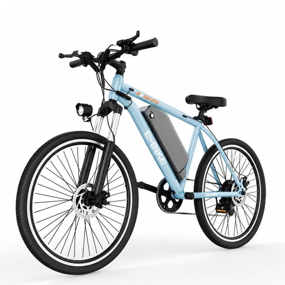 20" Electric Bike for Adults, 250W Motor, 19MPH Max Speed, 48V 5.2Ah Removable Battery, LCD Display, Compact E-Bike UL2849