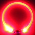 thumbnail image 3 of Collier pour Chien Rechargeable LED Clignotant Lumineux de Nuit avec Collier pour Chiots, 3 of 4