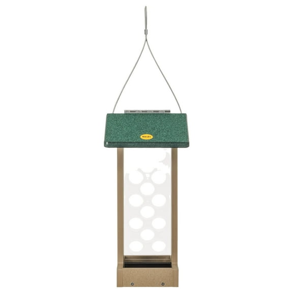 Birds Choice Recycled Jay Bird Feeder