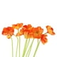 thumbnail image 5 of 10 Pcs Flores Artificiales de Amapola para Banquete de Boda Hogar y Decoración de Jardín Oficina Casa de Café Fotografía naranja Baoblaze Decoración de mesa de oficina en casa, 5 of 6