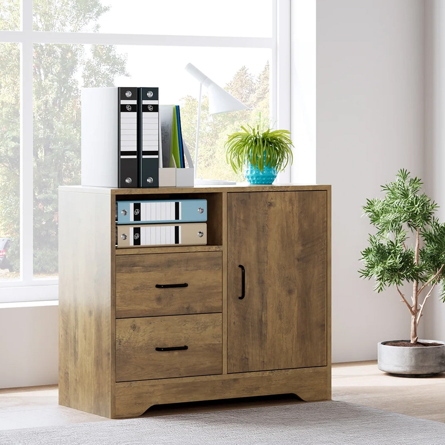 Homfa Accent Small Storage File with Door and