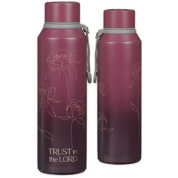 Christian Art Gifts Stainless Steel Double Wall Vacuum Sealed Insulated Water Bottle for Women & Grads: Hope & a Future - Jer. 29:11 Inspirational Bib (Other)