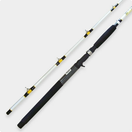 Team Catfish Thunder Cat 7-6 Medium Heavy 2 Piece Spinning (Best Medium Heavy Spinning Rod)