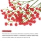thumbnail image 4 of Flores Artificiales Unique Bargains Gypsophila Rojas 21 Piezas Tacto Real, 4 of 6