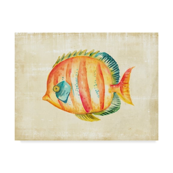Trademark Fine Art 'Aquarium Fish II' Canvas Art by Chariklia Zarris