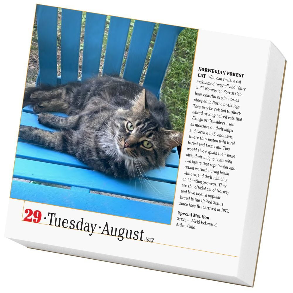 Cat　World's　The　2023　365　Calendar　Page-A-Day　Cats　Calendar)　Favorite　Calendar