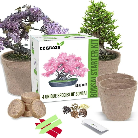 CZ Grain Bonsai Tree Growing Kit with 4 Easy to Grow Species