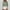 Army Green, variant on Ayolanni Army Green Cute Fall Tops for Women Long Sleeve Striped Collared Button-up Shirts Womens Tunics