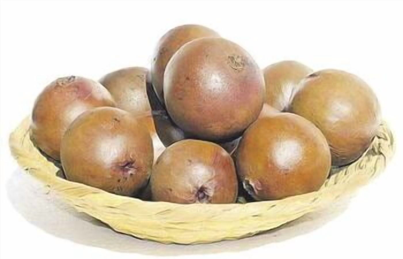 Borojo Super Fruit Spread - Jalea de Borojó 20g - Imported from Colombia