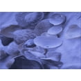 thumbnail image 1 of Ahgly Company Machine Washable Indoor Rectangle Transitional Sky Blue Area Rugs, 8' x 12', 1 of 7