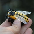 thumbnail image 1 of Mini Juguetes De Insectos De Batalla De Plástico Para Gatos, Mariquita Realista, Mariquita, Hornet, Escarabajo Electrónico, Juguetes Alimentados Por Batería Scienceny FN007185-02, 1 of 5