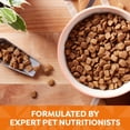 thumbnail image 4 of Nature's Recipe Grain Free Chicken, Sweet Potato & Pumpkin Dry Dog Food, 4 lb Bag, 4 of 11