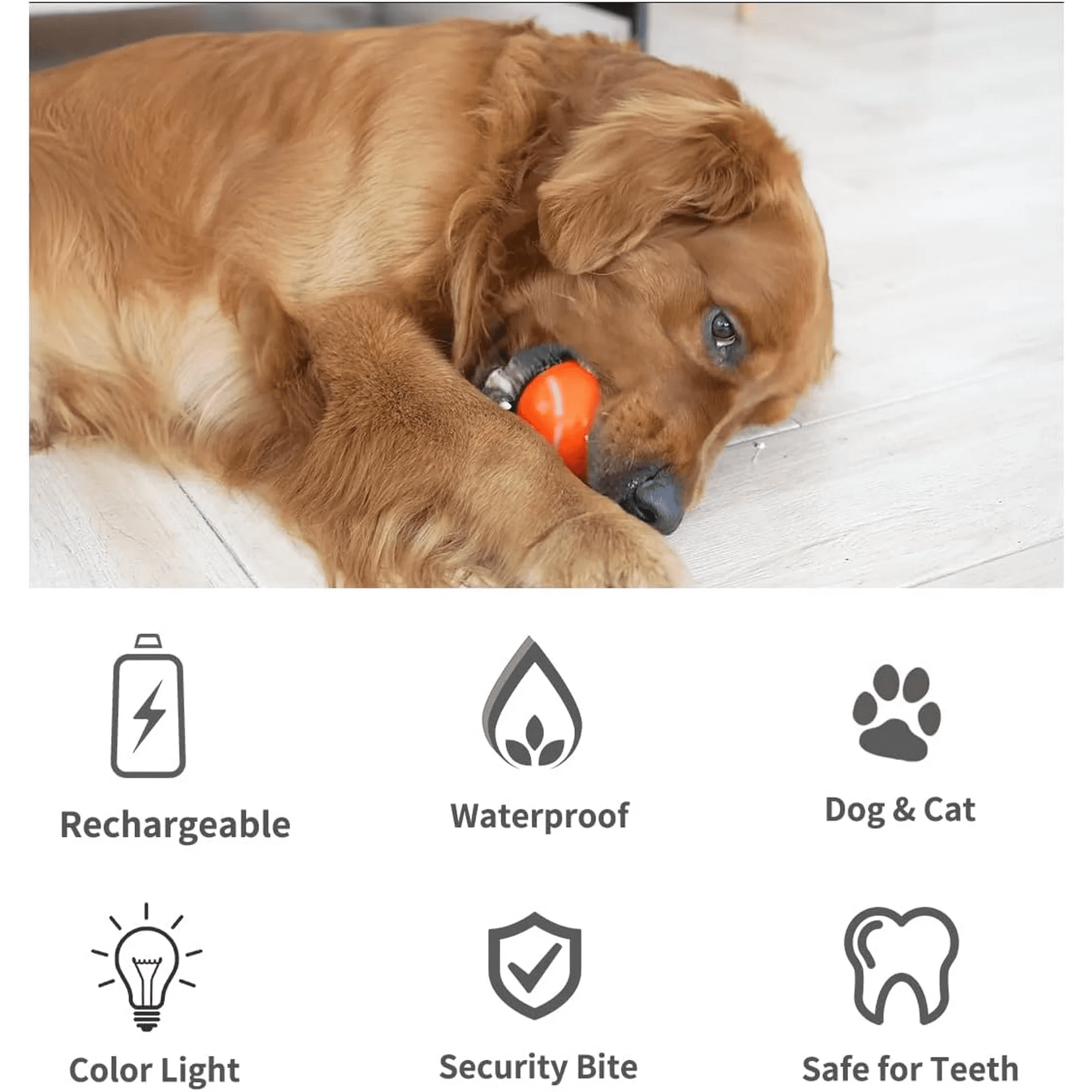 Interactive Dog Toys Ball, Active Wicked Dog Ball with Remote ~, Automatic Rolling Bouncing Dog Ball with Light, for Puppy/Small/Medium Dogs, USB Rechargeable, Fun and Engaging Gift