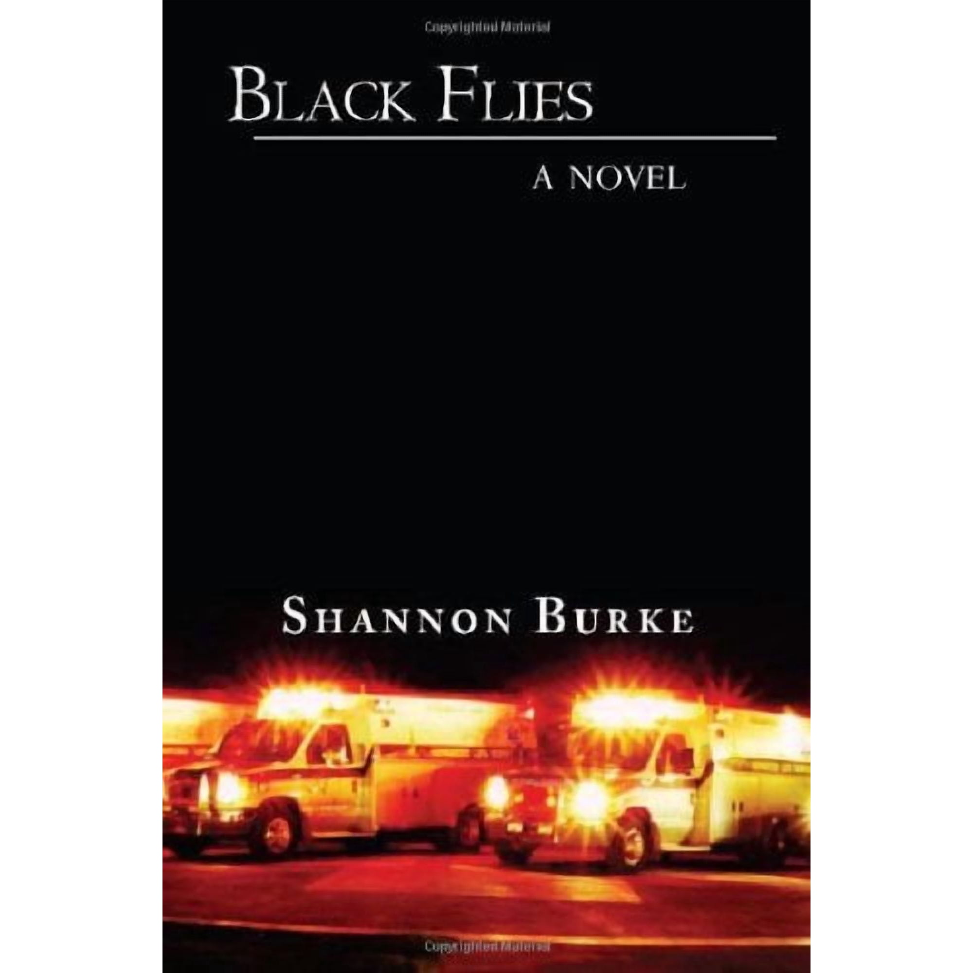 Black Flies: A Novel