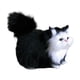 thumbnail image 2 of Juguetes de peluche suaves para gatos, muñecos de gato, juguete educativo, recuerdo de fiesta, regalo de cumpleaños, modelo Negro, 2 of 9