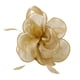 thumbnail image 5 of Venda de la mujer Hugo Hatinator de Diadema Dorado, 5 of 10