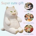 thumbnail image 6 of RUIG Realistic Cat Plush Toy 30CM/11.8 Inches - Stuffed Animal Plushie, Lifelike Stuffed Cat, Soft Plush Toy, Birthday Christmas for Kids,Boys,Girls,Fat Cat Stuffed Toy (Black/White), 6 of 6