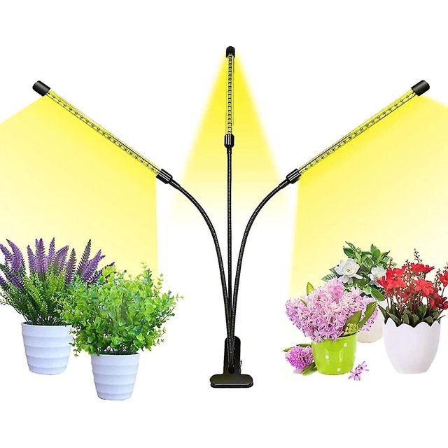 Luz LED de espectro completo para cultivo de plantas, luz de relleno para plantas, 30 W, temporizador de ciclo de memoria, luz para plantas suculentas de interior