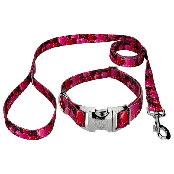 Country Brook Petz® Premium Romantic Hearts Dog Collar and Leash, Large
