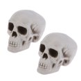 thumbnail image 2 of Halloween Skulls Decor Plastic Skeleton Head Decorations Ornament Props Terrifying Mini Bar Party Craft Heads Realistic, 2 of 7