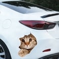 thumbnail image 4 of Calcomanía de gato 3D, calcomanía decorativa de gato lindo, pegatina de gato, pegatina con tema de animal, decoración del coche, pegatina personalizada para ventana, parachoques, grieta para coche Rojo Verde, 4 of 5