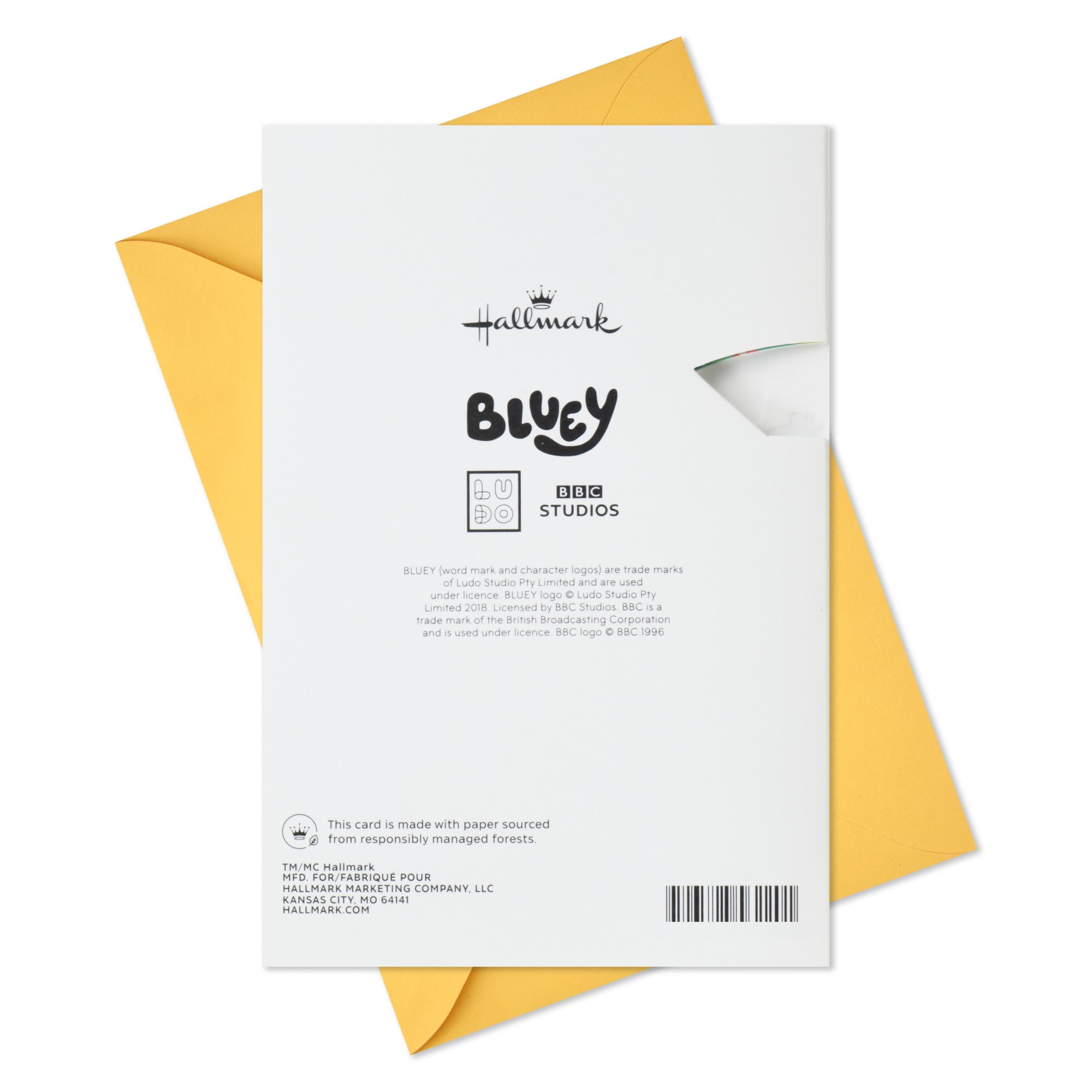Hallmark Bluey Pop-Up Birthday Card for Kid (Keep the Fun Going)