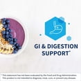 thumbnail image 4 of Suplemento Klaire Labs Mastic Gum/DGL masticable 60 comprimidos, 4 of 7