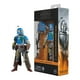 thumbnail image 1 of Figura de Acción Hasbro Star Wars Star Wars Black Series Mandalorian Shriek Hawk, 1 of 4