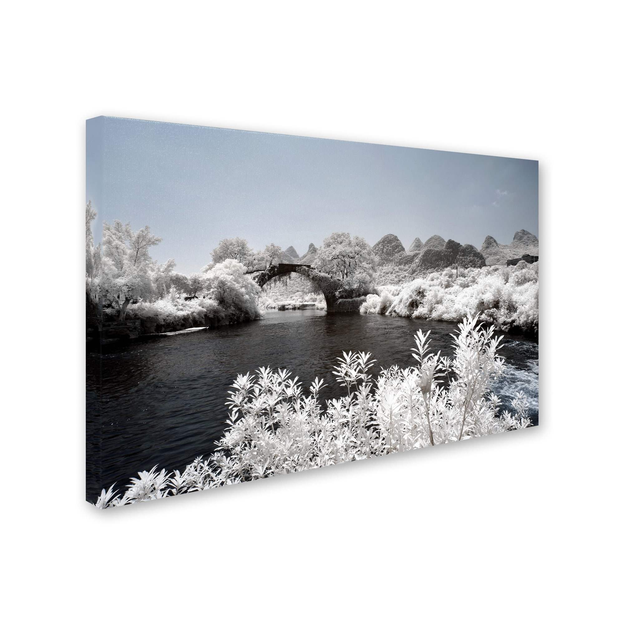 Trademark Fine Art "White Bridge" Canvas Art by Philippe Hugonnard