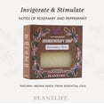 thumbnail image 3 of Plantlife Rosemary Mint Bar Soap 6 Pack – Refreshing Herbal Essential Oil Blend, Plant Based Cleansing Soap for Hands and Body, 3 of 6