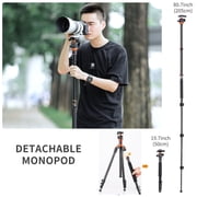 K&F CONCEPT 78 Professional Compact Aluminum Camera Tripod for DSLR Camera Photo, Lightweight Travel Tripod with 360 Degree Ball Head for Photography