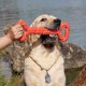 thumbnail image 4 of Juguete agresivo para masticar para perros, juguete duradero para cambiar los dientes para perros enérgicos medianos y grandes (naranja), 4 of 5