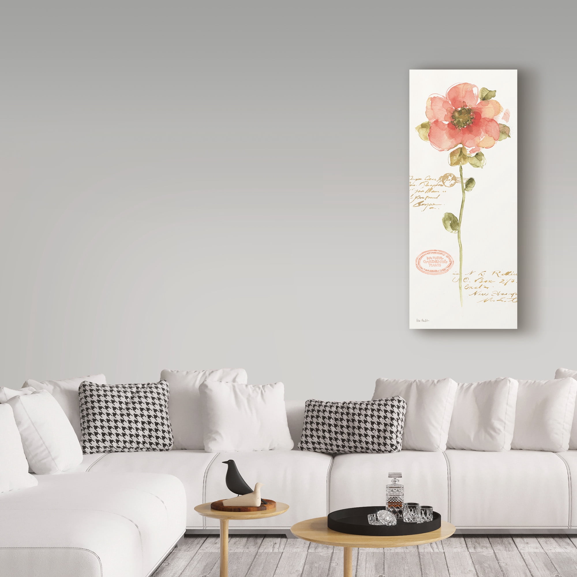 Trademark Fine Art 'Rainbow Seeds Loose Floral IV' Canvas Art by Lisa Audit
