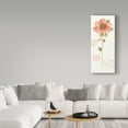 thumbnail image 3 of Trademark Fine Art 'Rainbow Seeds Loose Floral IV' Canvas Art by Lisa Audit, 3 of 3
