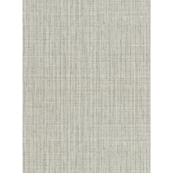 Warner Blouza Grey Texture Wallpaper