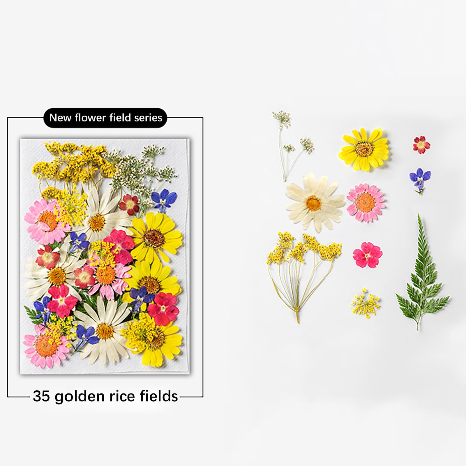 140Pcs Large Dried Pressed Flowers for Resin Molds, Real Dry Natural Flower Leaf for Crafts Scrapbooking, with Tweezers for Candle Making DIY Jewelry Crafts, Soap Making, Cake Decor, Glass Frame