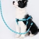 thumbnail image 4 of Collar reflectante negro para perros, collar ajustable para mascotas con acolchado de neopreno suave para perros pequeños, medianos y grandes, cuerda de escalada., 4 of 5