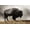 Unframed, variant on Art.com Bison in Mist, Upper Geyser Basin Near Old Faithful, Yellowstone National Park, Wyoming Stretched Canvas Print Wall Art by Adam Jones, 18" x 12"