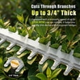 thumbnail image 2 of Vipuse Pole Hedge Trimmer Cordless, Electric Bush Trimmer Tool with 21" Dual-Action Blade, Detachable Telescoping Pole, 4.0Ah Battery, Powerful Branches Cutter for Tree & Shrubs Pruning, 2 of 11