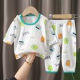 thumbnail image 2 of NOLDARES Toddler Baby Boy Pajamas Set Fall Winter Outfits Long Sleeve Dinosaur Sweatshirts Tops+Pants Set 2 Piece 6-12 Months 12-24 Months 2t 3t 4t 5t 6t 7t 8t 9t Children,Light Green,6-12 M, 2 of 4