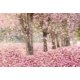thumbnail image 2 of ABPHQTO Fondos de primavera para fotografía Fondo de flores rosadas Naturaleza para bodas 150x220cm, 2 of 2