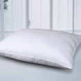 thumbnail image 1 of Lotus Home Stayclean Bacteria Reducing 100% Cotton Water & Stain Resistant Bed Pillow, 1 of 1