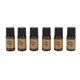 thumbnail image 3 of 6 piezas 10 ml de aceite esencial de jengibre para adelgazar, reafirmar la piel, relajar los músculos, adelgazar el cuerpo, aceite de masaje, 3 of 10