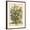Brown Frame, variant on Art.com July Art Print by Robert Furber, 12" x 16"